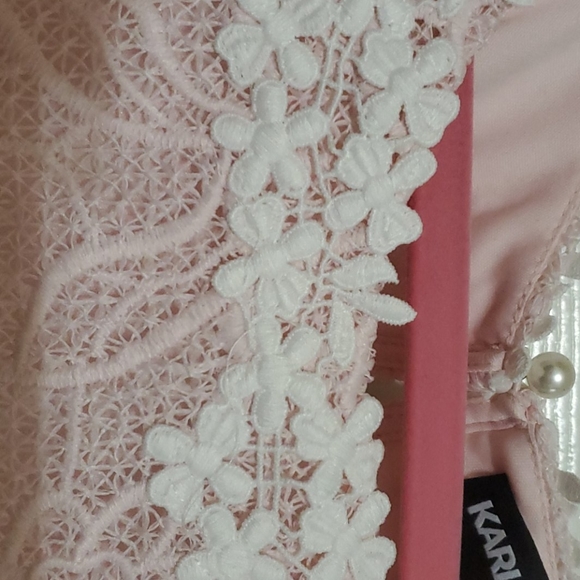 Karl Lagerfeld Lacy, Embroidered Sheath Dress - Picture 5 of 6